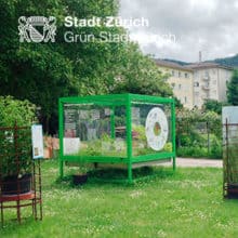Grün Stadt Zürich: Schaukasten Neophyten